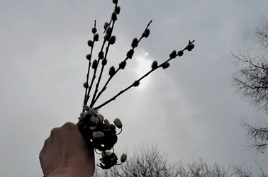 Similar image 22174459