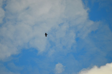 Similar image 22174460