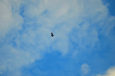 Similar image 22174462