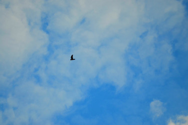 Similar image 22174463