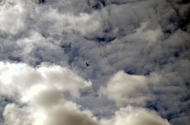 Similar image 22174464