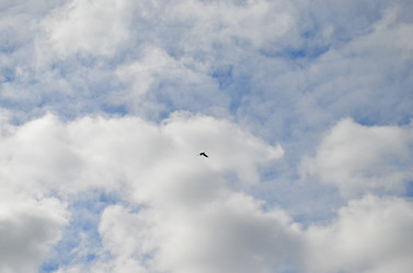 Similar image 22174465