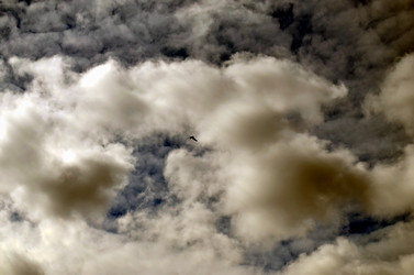 Similar image 22174468