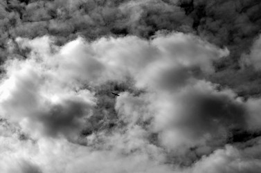 Similar image 22174469