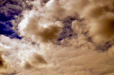 Similar image 22174470