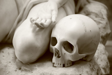 Similar image 22169319