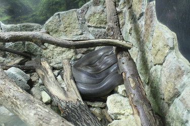 Similar image 22181270