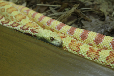 Similar image 22181271