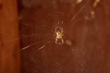 Similar image 22170662