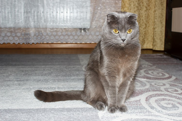 Similar image 22170669