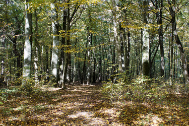 Similar image 22170672