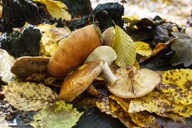 Similar image 22170673