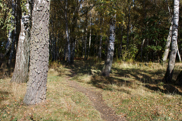 Similar image 22170674