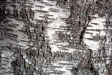 Similar image 22170675