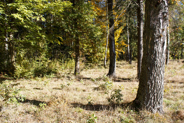 Similar image 22170676