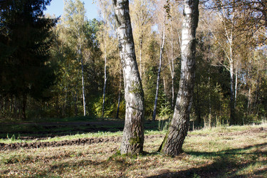 Similar image 22170682