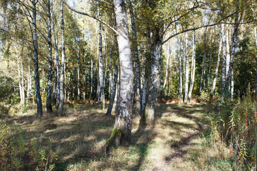 Similar image 22170683