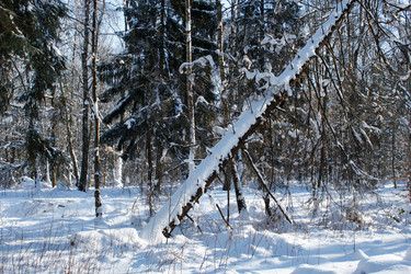 Similar image 22170685