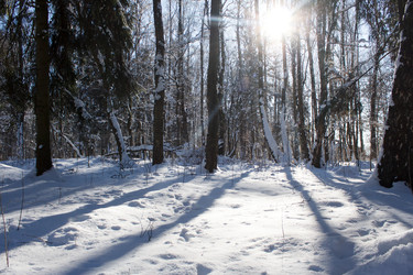 Similar image 22170686