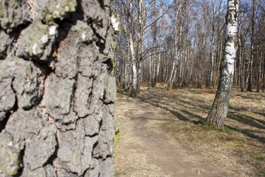 Similar image 22170687