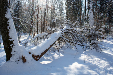 Similar image 22170689