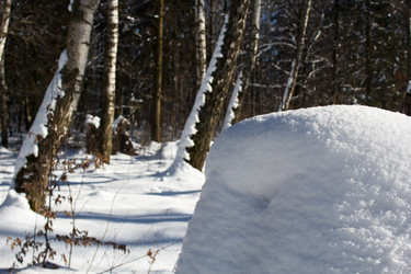 Similar image 22170690