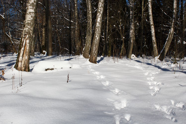 Similar image 22170691