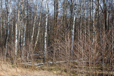 Similar image 22170694