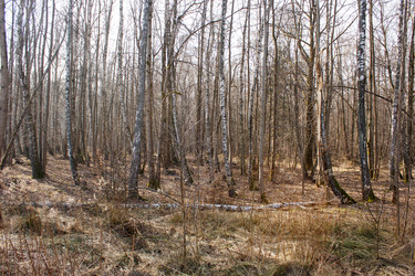 Similar image 22170695