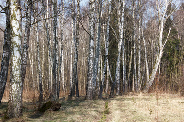 Similar image 22170696