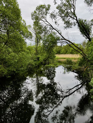 Similar image 22173919