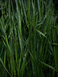 Similar image 22173920