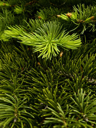 Similar image 22173921