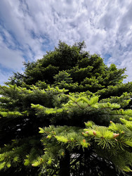 Similar image 22173922