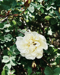 Similar image 22173924