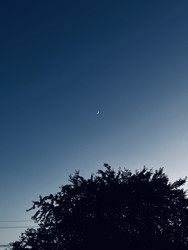 Similar image 22173925