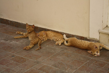 Similar image 22169442