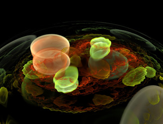 Similar image 22177430