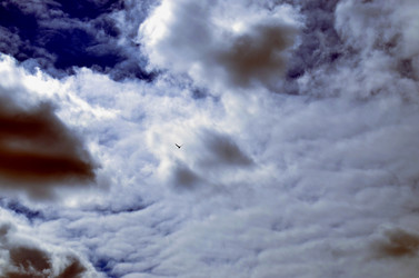 Similar image 22174472