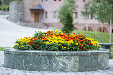 Similar image 22176195