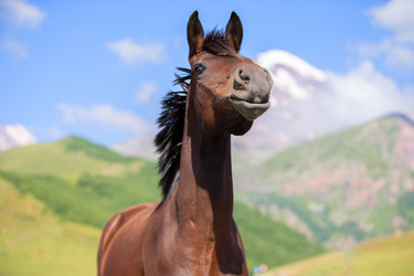 Similar image 22176202