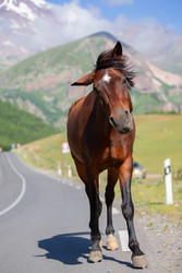 Similar image 22179880