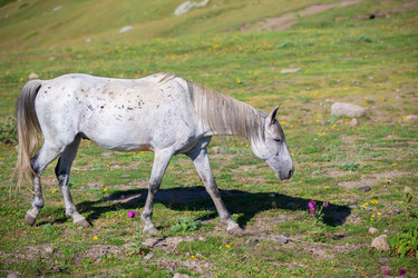 Similar image 22176204