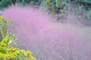 Similar image 22189670