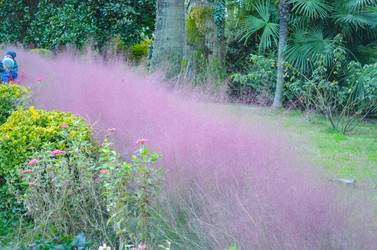 Similar image 22189671