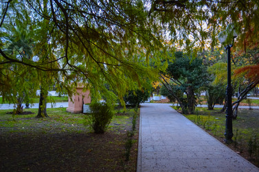 Similar image 22189672