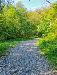 Similar image 22188470