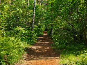 Similar image 22171223