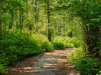 Similar image 22171224