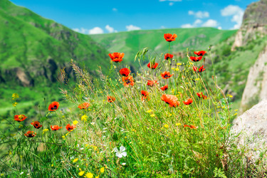 Similar image 22170211